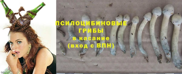меф Мегион