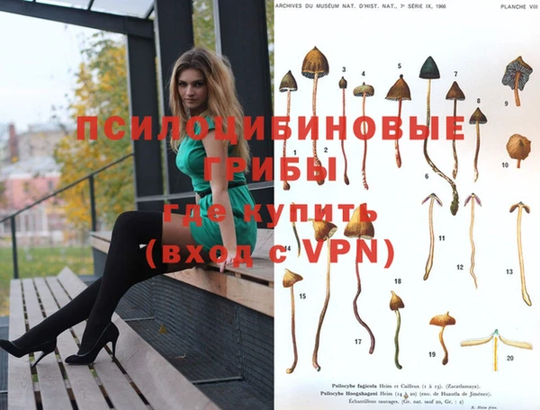 2c-b Майский