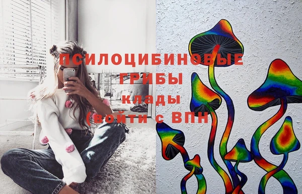 меф Мегион