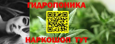 прущие крисы Кинель