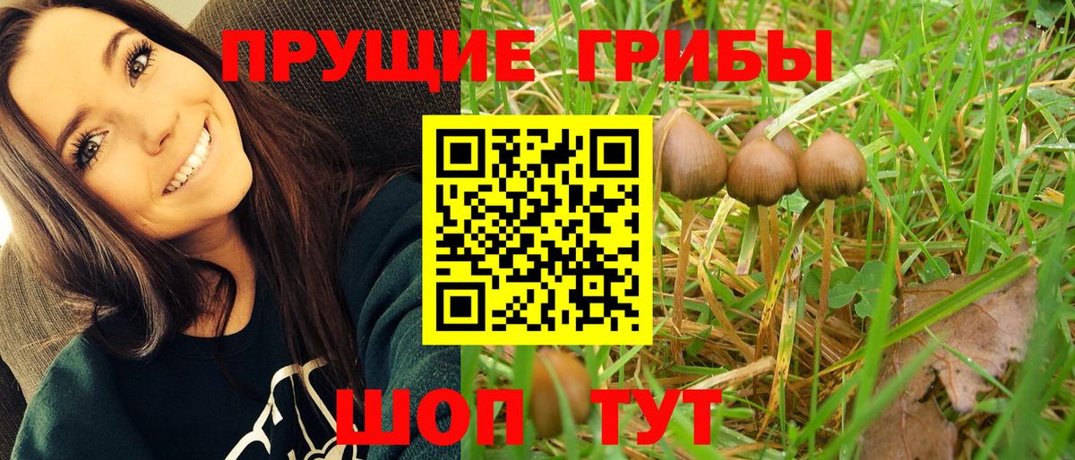 Галлюциногенные грибы прущие грибы  Псилоцибиновые грибы мухоморы  Вход с VPN  Нарьян-Мар 